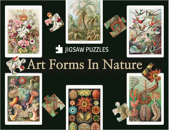 Art Forms in Nature: Jigsaw Puzzles