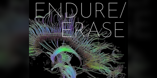 Cover image for Endure / Erase