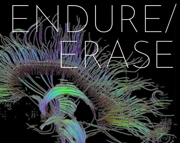 Cover image for Endure / Erase