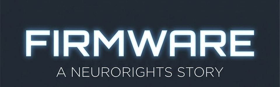 FIRMWARE
