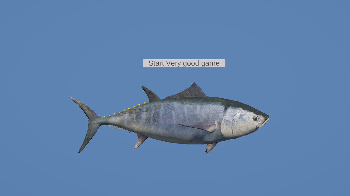 Cover image for Spin The Fish