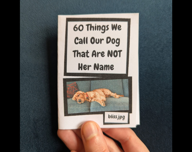 Cover image for 60 Things We Call Our Dog That Are NOT Her Name Zine