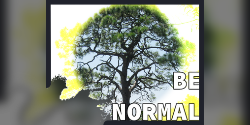 Cover image for BE NORMAL