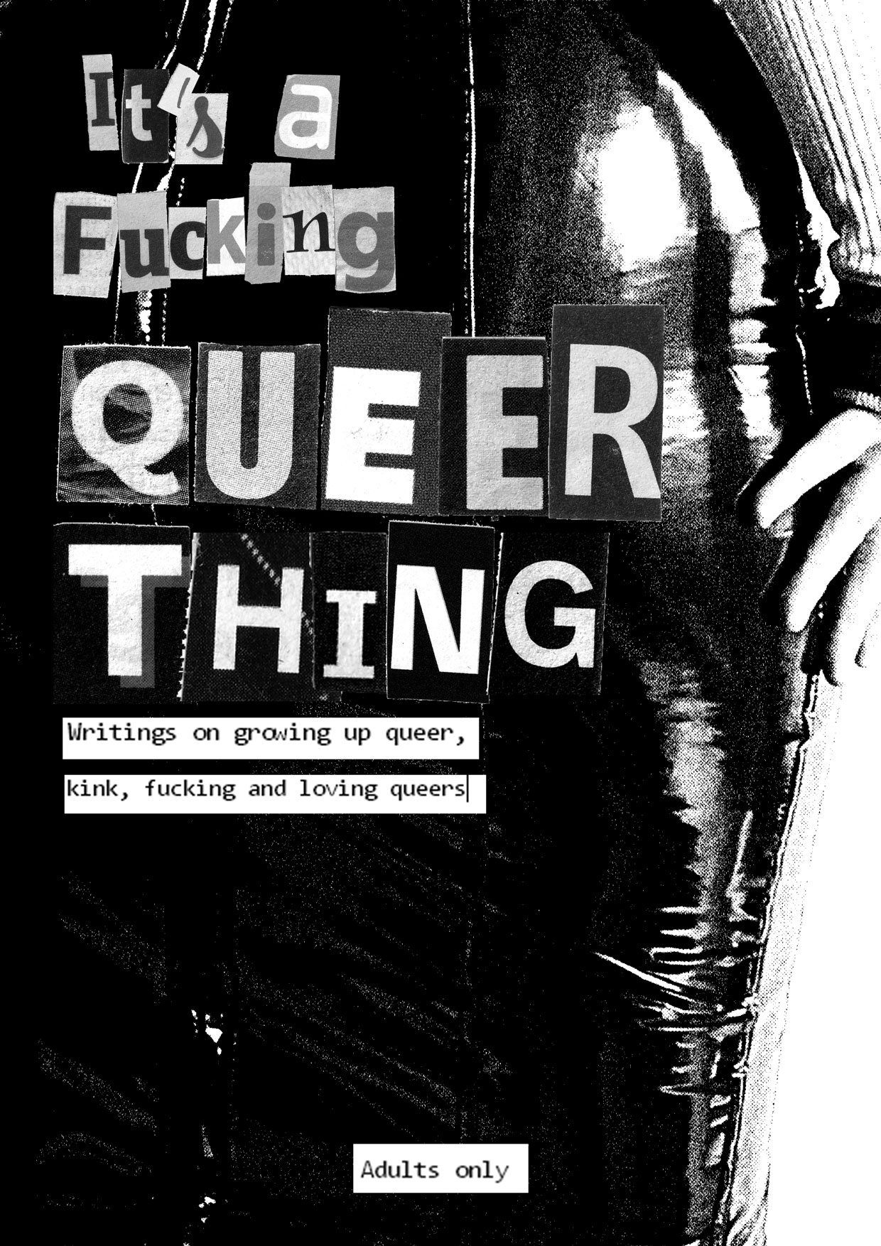 Cover image for It's a fucking queer thing