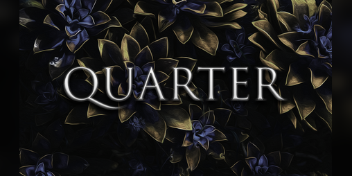 Cover image for Quarter