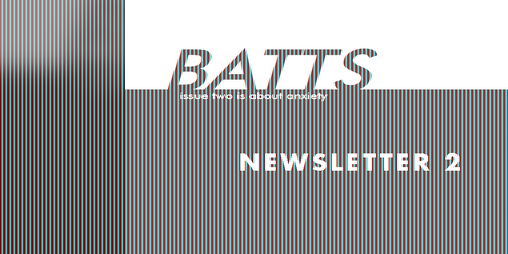 Cover image for Batts issue 2