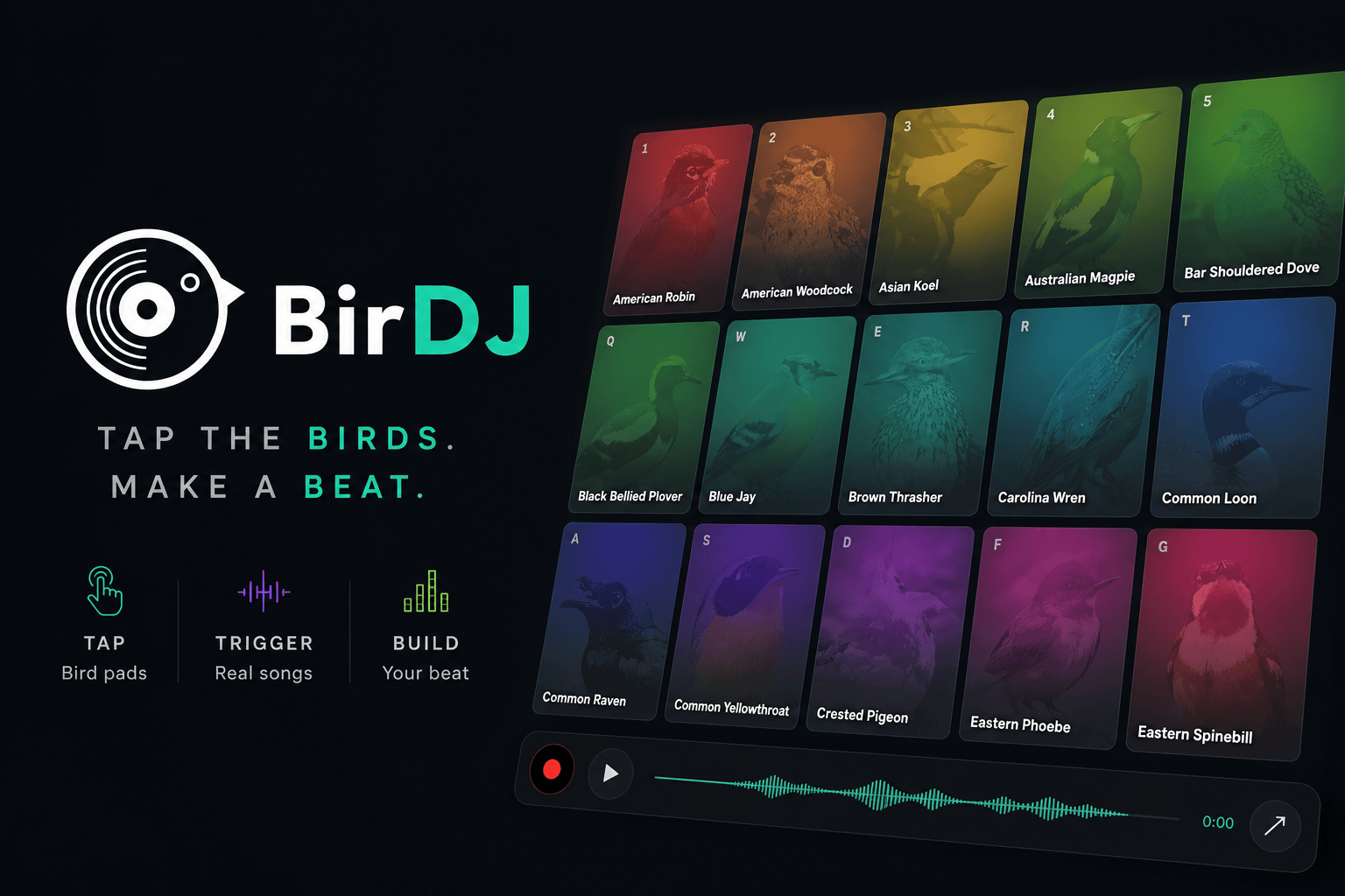 BirDJ