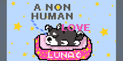 Cover image for A Non-Human Love