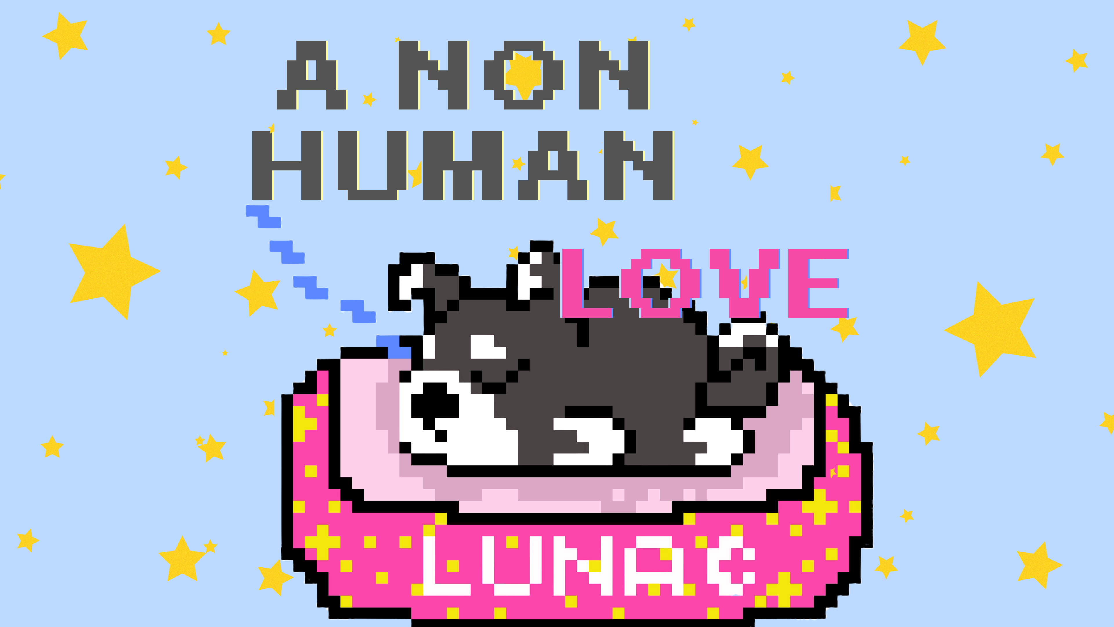 Cover image for A Non-Human Love