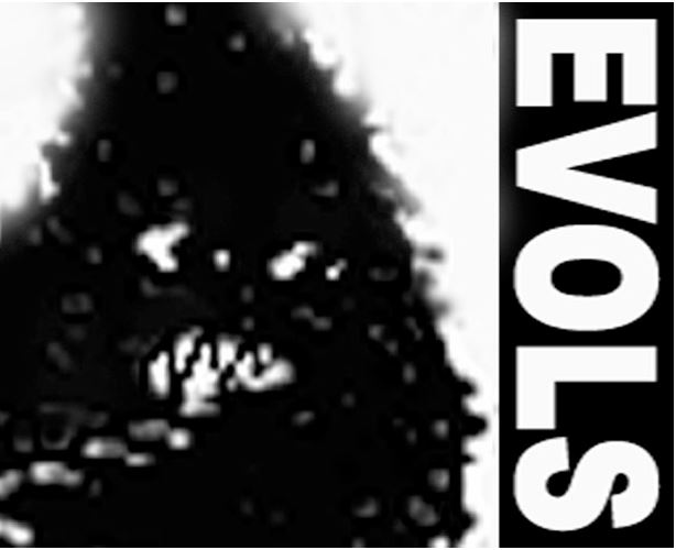 CODEX EVOLS