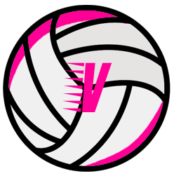 Cover image for VolleyBalls