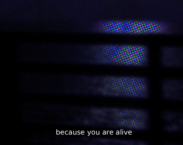Cover image for Because You Are Alive