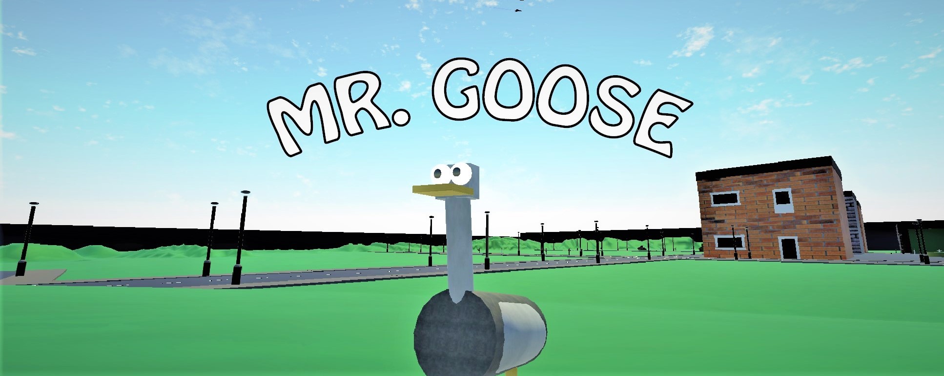 Mr. Goose