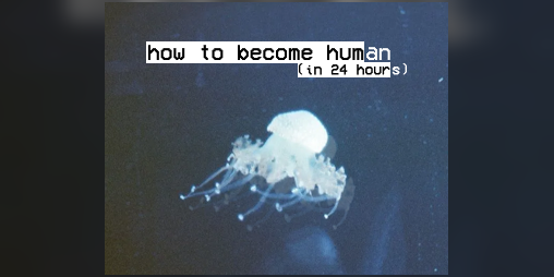 Cover image for how to become human (in 24 hours)