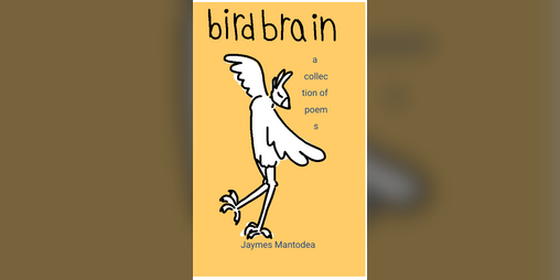 Cover image for Birdbrain