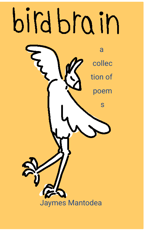 Cover image for Birdbrain