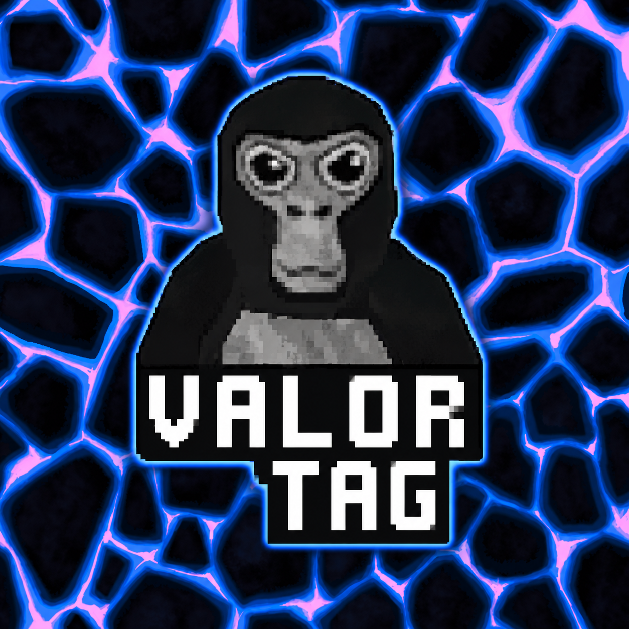 Valor Tag