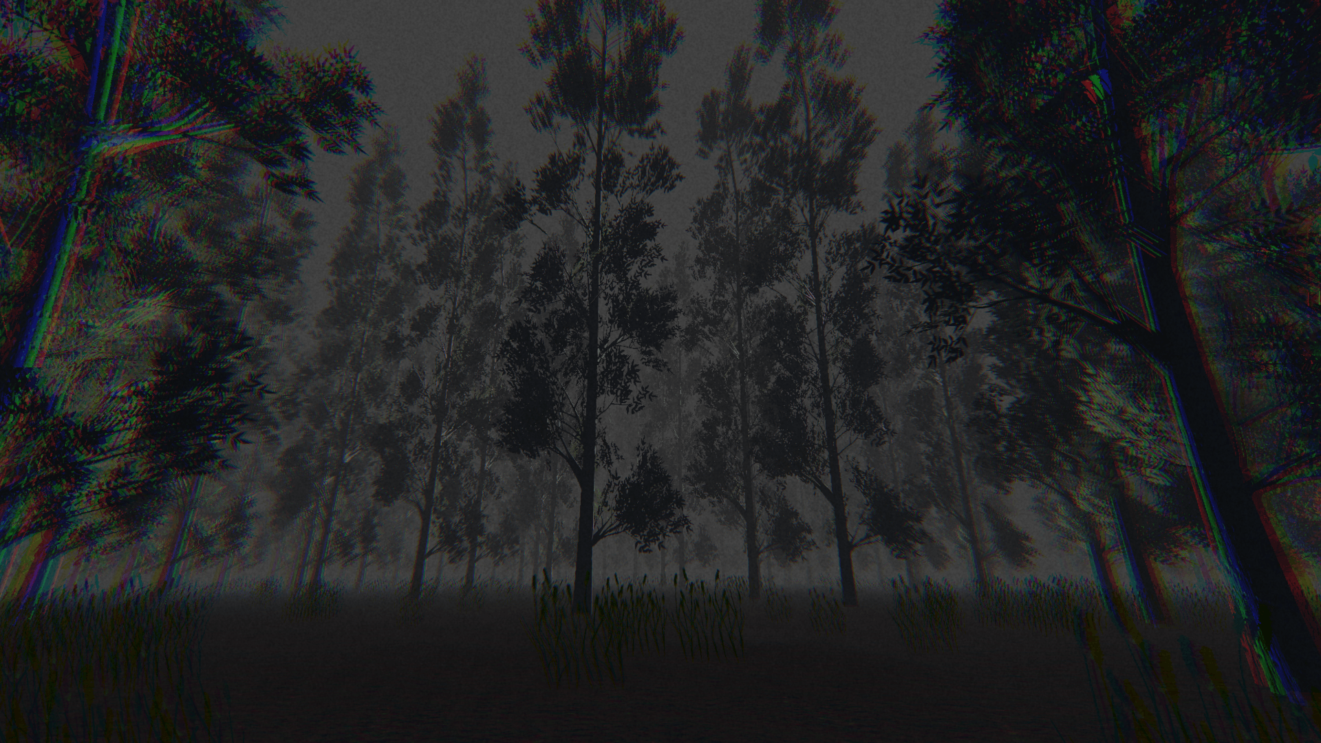 The Forest VHS cover