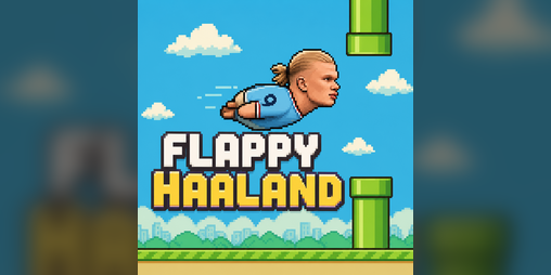 Cover image for Flappy Haland