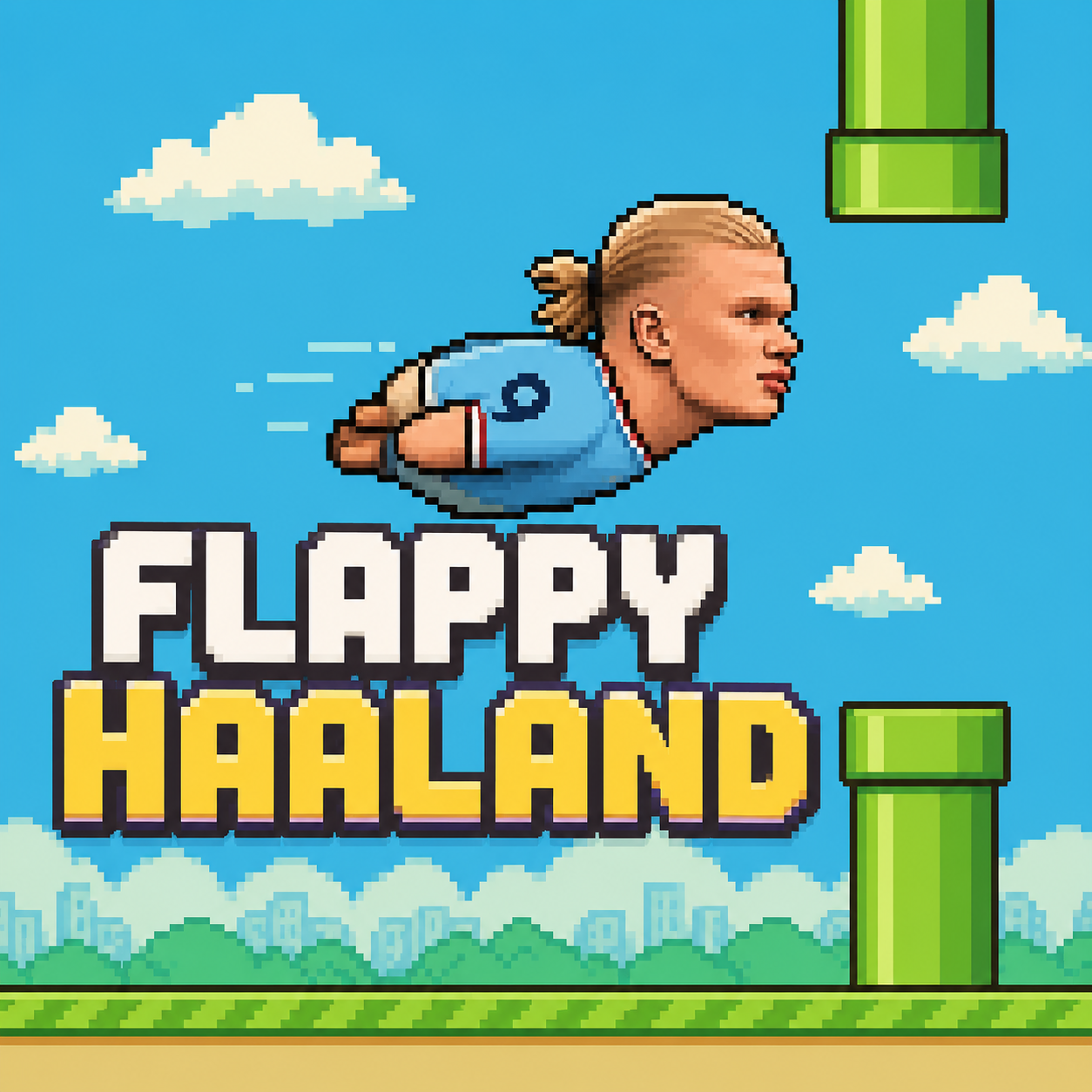 Cover image for Flappy Haland