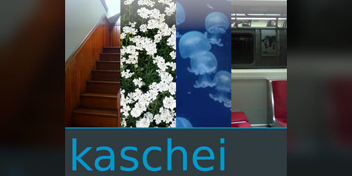Cover image for kaschei