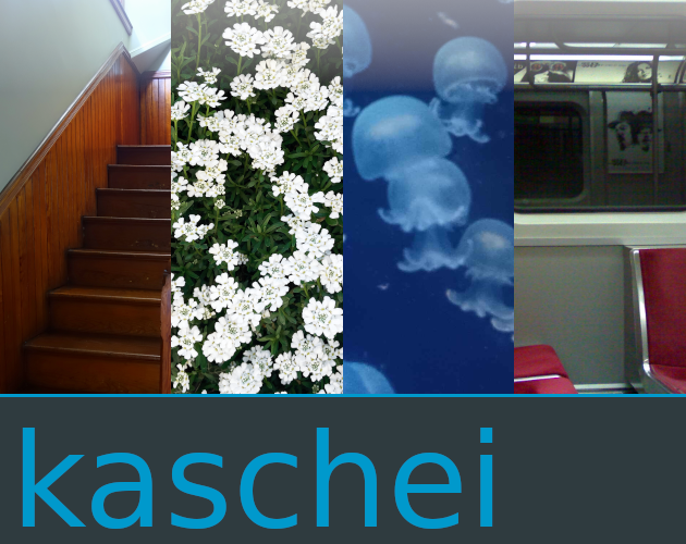 Cover image for kaschei