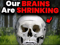 sprunke shifted (beta)