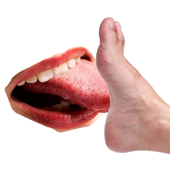 Feet lick'n simulator cover