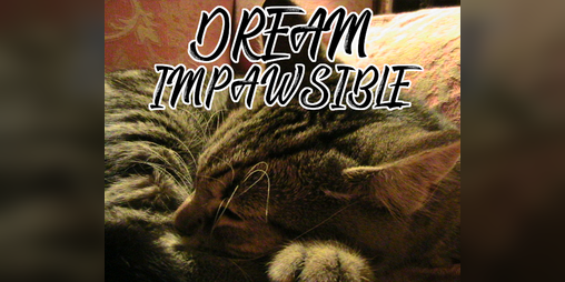 Cover image for Dream Impawsible
