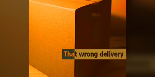 Cover image for That wrong delivery
