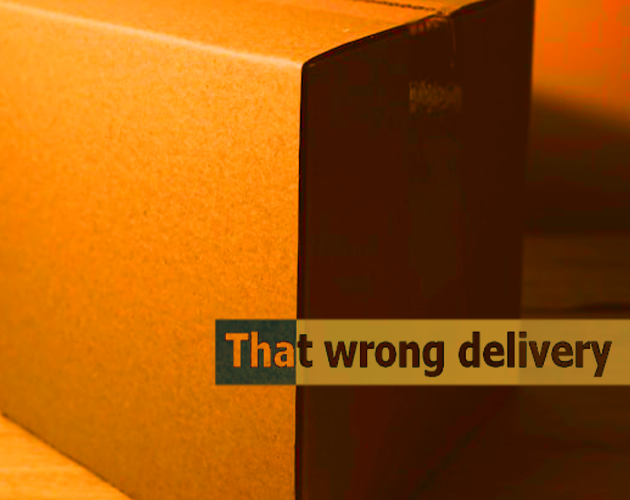 Cover image for That wrong delivery