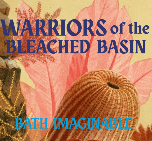 Cover image for Warriors of the Bleached Basin