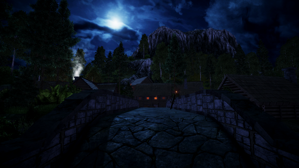 Cover image for Visitor