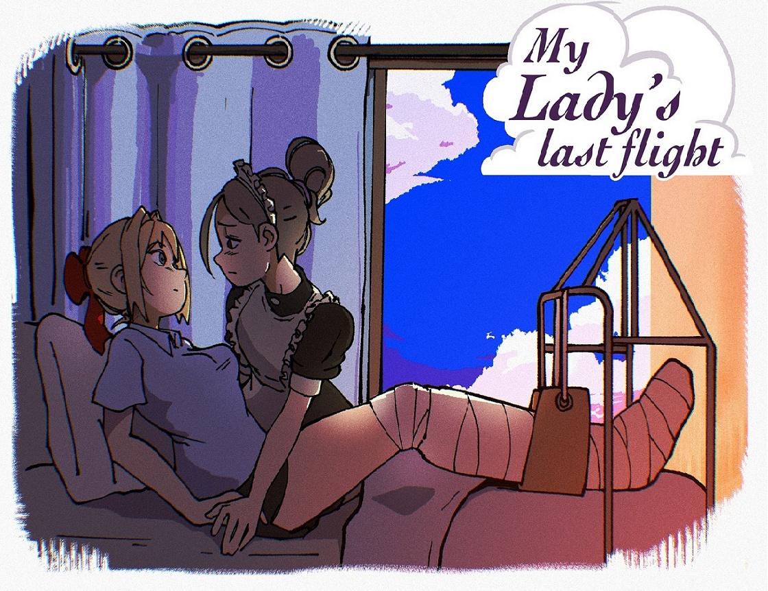 Cover image for My Lady's Last Flight