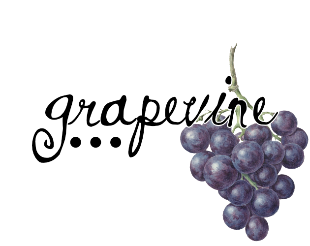 Grapevine