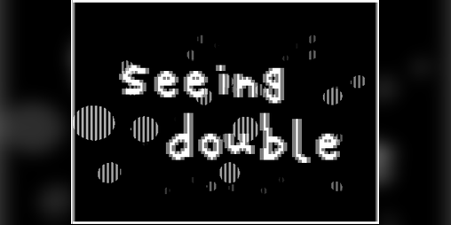 Cover image for seeing double