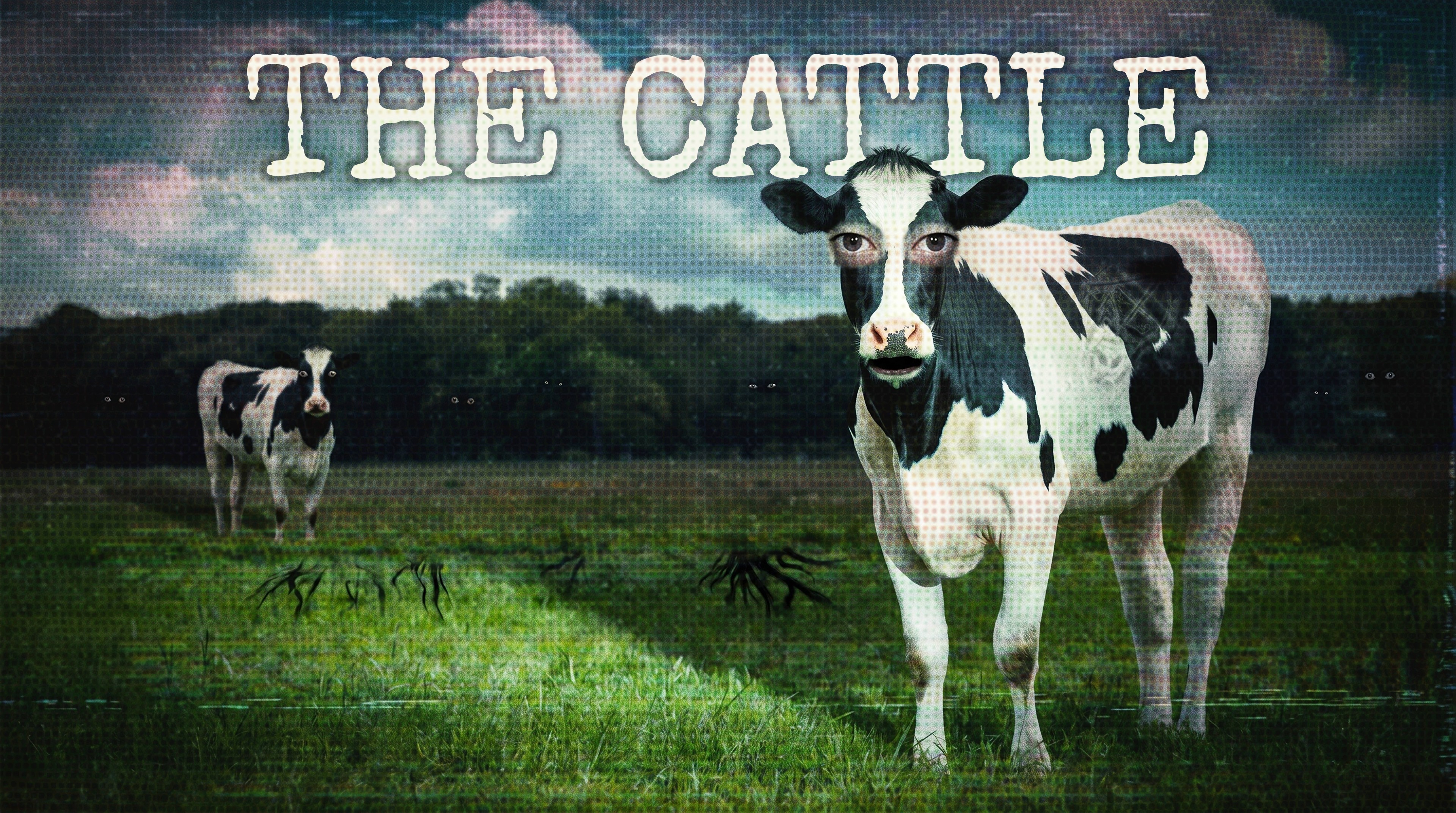 Cover image for The Cattle