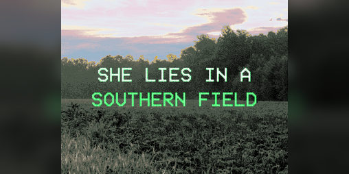 Cover image for she lies in a southern field