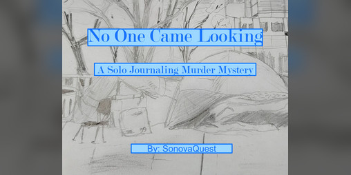 Cover image for No One Came Looking