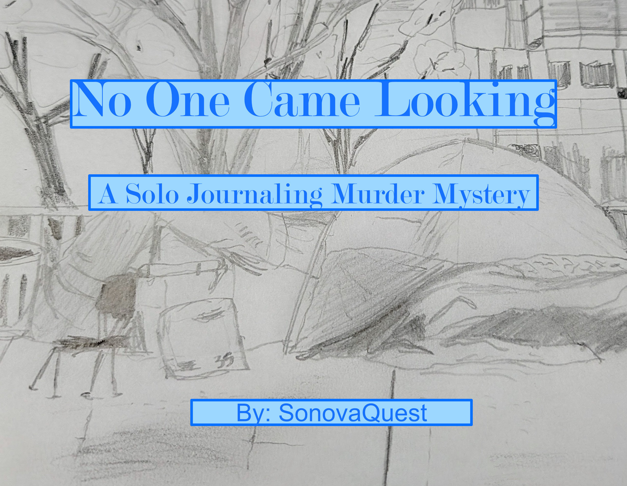 Cover image for No One Came Looking