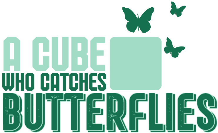 A Cube Who Catches Butterflies