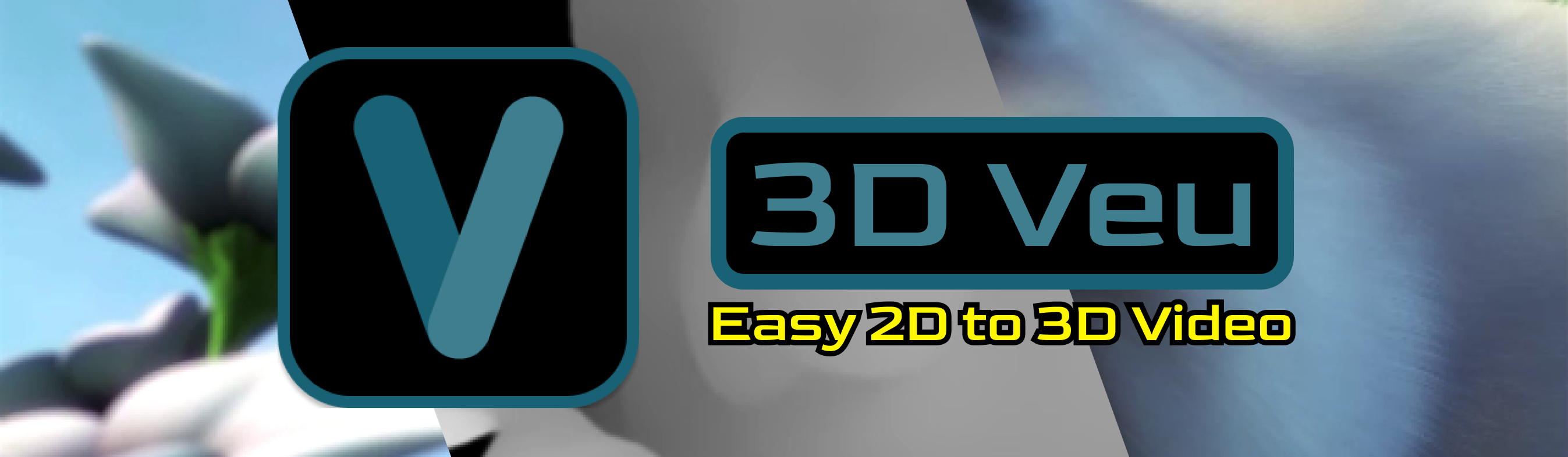 3D Veu