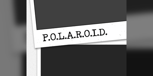 Cover image for P.O.L.A.R.O.I.D.