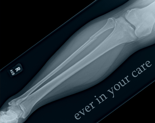Ever In Your Care cover
