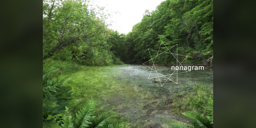 Cover image for nonagram