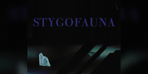 Cover image for Stygofauna