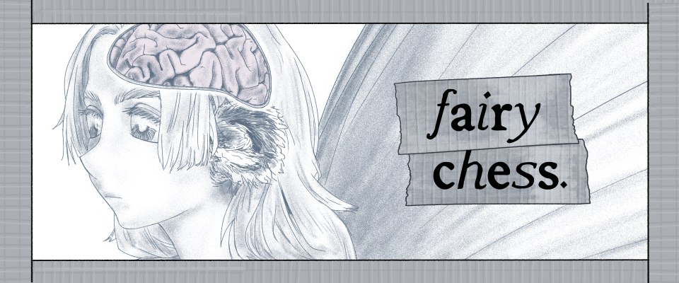 fairy chess.