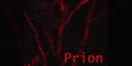 Cover image for Prion