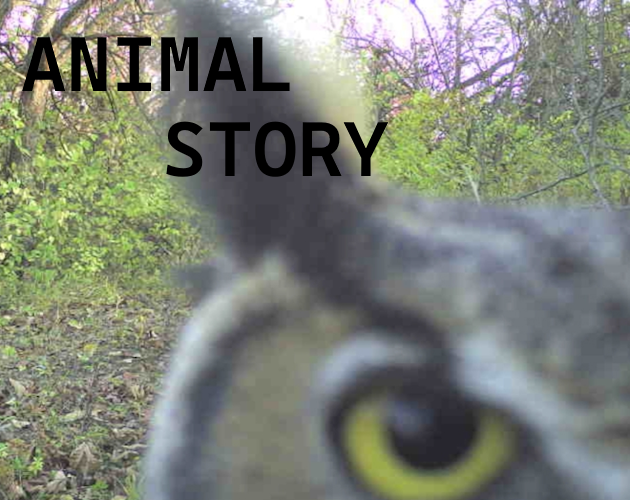 Animal Story