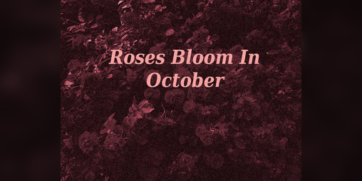 Cover image for Roses Bloom In October